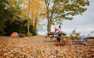 Cam N.'s photo at Negwegon State Park Campground near Hubbard Lake, MI