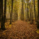 Review photo of Negwegon State Park Campground by Cam N., October 22, 2018