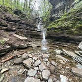 Review photo of Blanchard Springs Recreation Area — Ozark St. Francis National Forests by Chris D., July 8, 2023