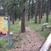 Review photo of Elk Mountain Campground — Wind Cave National Park by Matt S., August 22, 2016