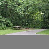 Review photo of Buzzards Roost Recreation Area by Joe F., July 8, 2023