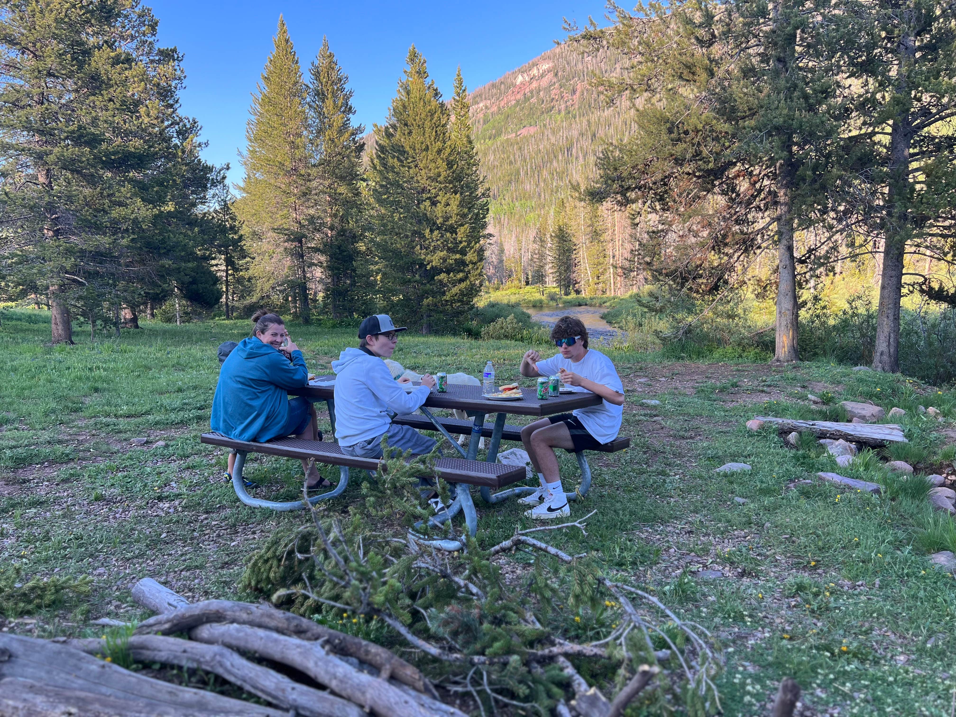 Camper submitted image from Wasatch National Forest Sulphur Campground - 4