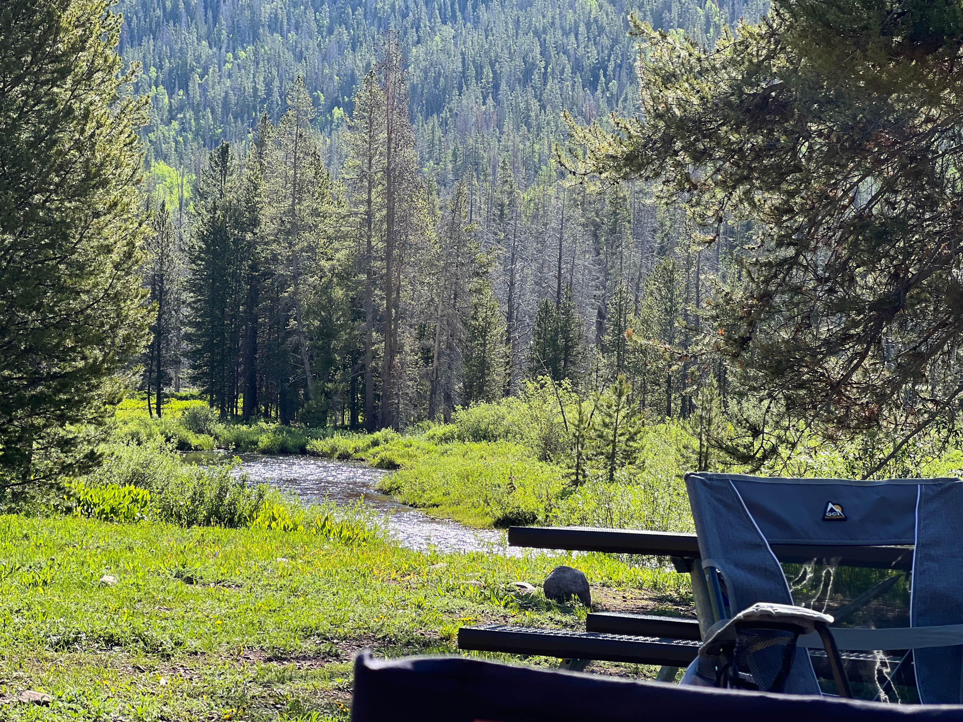 Camper submitted image from Wasatch National Forest Sulphur Campground - 3