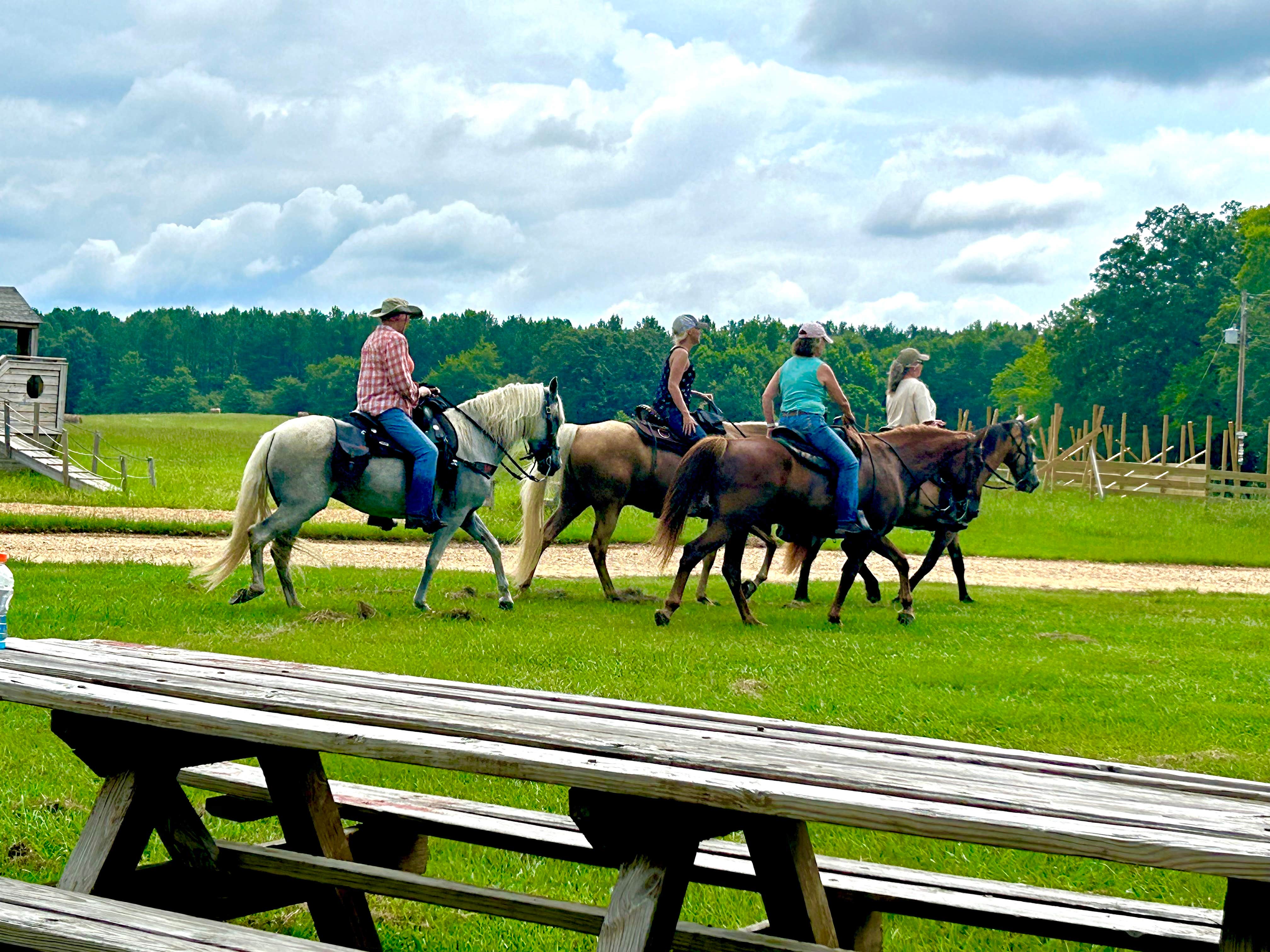 Camper-submitted photo at Faye Whittemore Farms Inc near Arley, AL