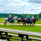 Review photo of Faye Whittemore Farms Inc by Adrienne D., July 8, 2023