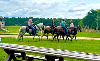 Adrienne D.'s photo of camping with a horse at Faye Whittemore Farms Inc near Helena, AL