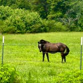 Review photo of Faye Whittemore Farms Inc by Adrienne D., July 8, 2023