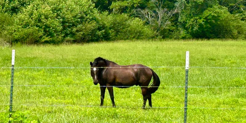 Camper submitted image from Faye Whittemore Farms Inc