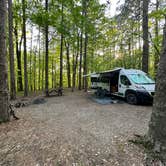 Review photo of Redbud Campground at Bell Smith Springs by Chris D., July 8, 2023