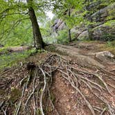 Review photo of Redbud Campground at Bell Smith Springs by Chris D., July 8, 2023