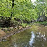 Review photo of Redbud Campground at Bell Smith Springs by Chris D., July 8, 2023