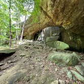 Review photo of Redbud Campground at Bell Smith Springs by Chris D., July 8, 2023