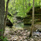 Review photo of Redbud Campground at Bell Smith Springs by Chris D., July 8, 2023