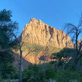 Review photo of Watchman Campground — Zion National Park by Terry K., July 8, 2023