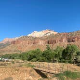 Review photo of Watchman Campground — Zion National Park by Terry K., July 8, 2023