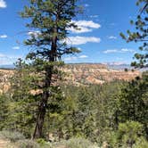 Review photo of North Campground — Bryce Canyon National Park by Terry K., July 8, 2023