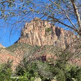 Review photo of Watchman Campground — Zion National Park by Terry K., July 8, 2023