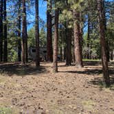 Review photo of North Rim Campground — Grand Canyon National Park by Terry K., July 8, 2023