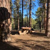 Review photo of North Rim Campground — Grand Canyon National Park by Terry K., July 8, 2023