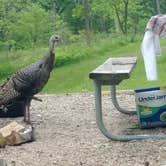 Review photo of Hitchcock County Nature Center by Amber M., July 8, 2023