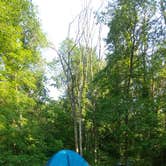 Review photo of Hitchcock County Nature Center by Amber M., July 8, 2023