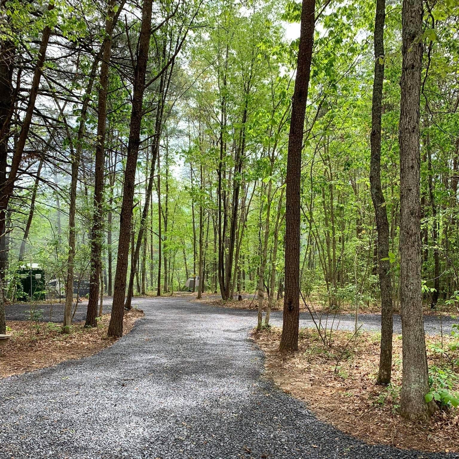 Waltons Campground Camping The Dyrt