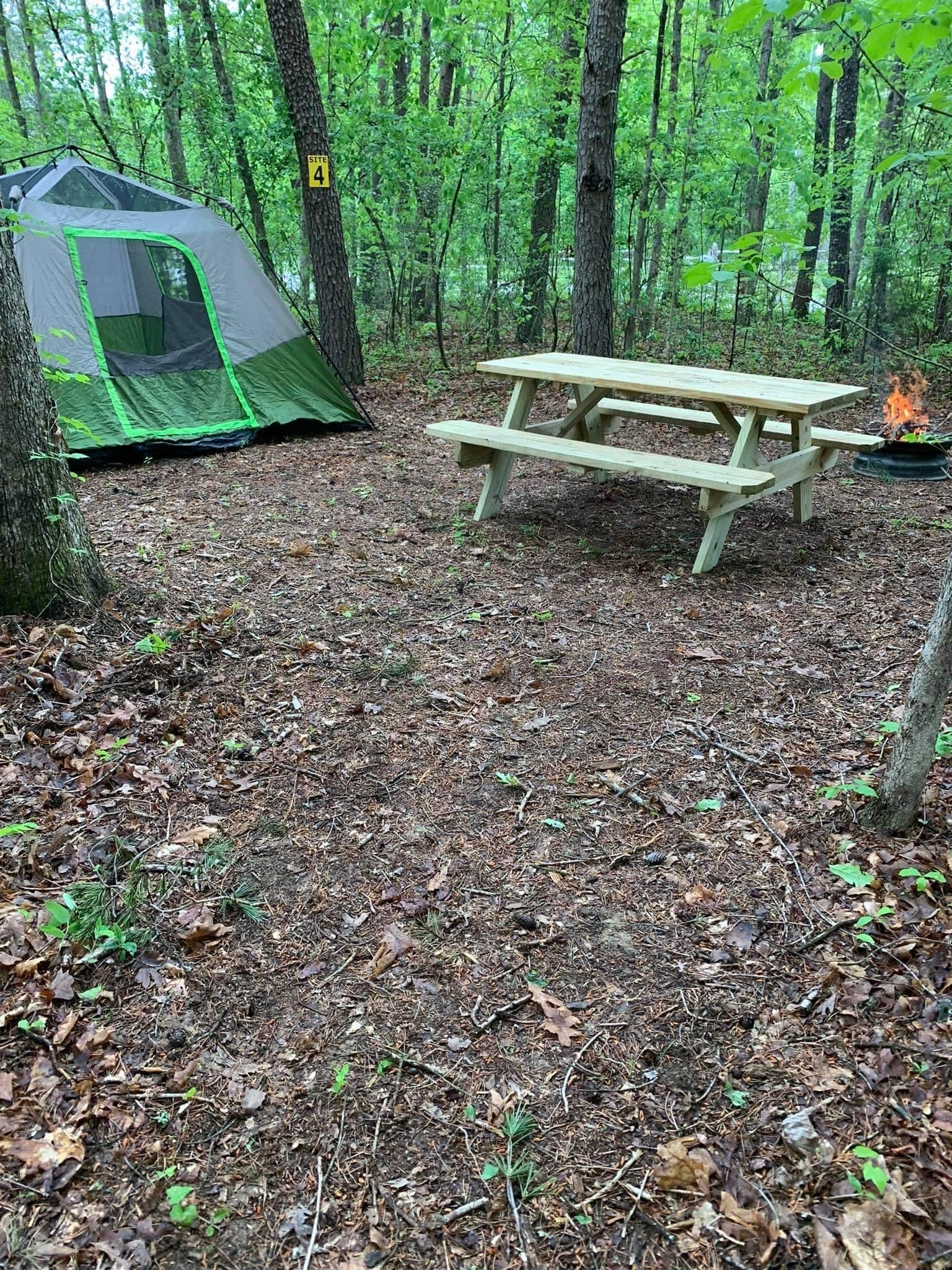 Lesa W.'s photo of tent camping at Waltons Campground near Buchanan, VA