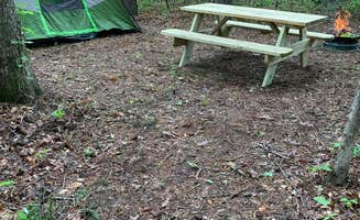 Lesa W.'s photo at Waltons Campground near Warm Springs, VA