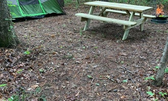 Camping near Lake Robertson: Waltons Campground , Clifton Forge, Virginia