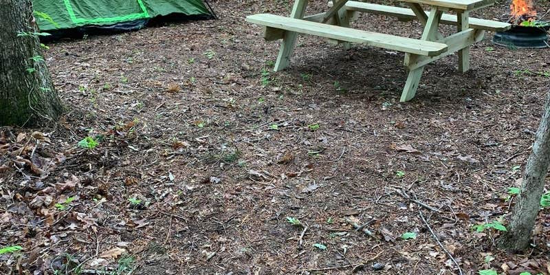 Camper submitted image from Waltons Campground