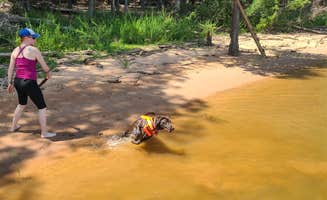 Andrew S.'s photo of camping with pets at Poplar Point Campground — Jordan Lake State Recreation Area near Pittsboro, NC