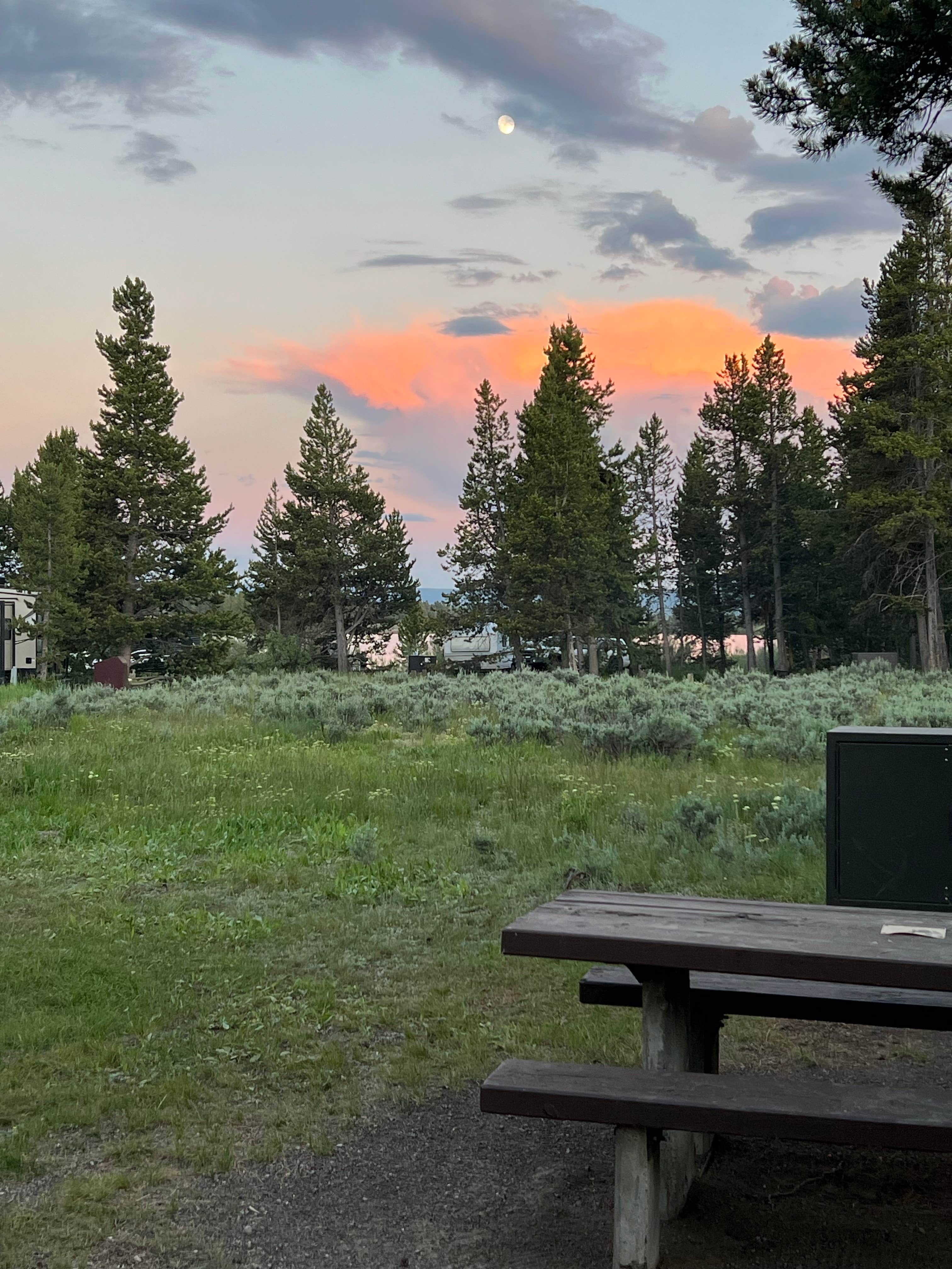 Camper-submitted photo at Lonesomehurst Campground near West Yellowstone, MT