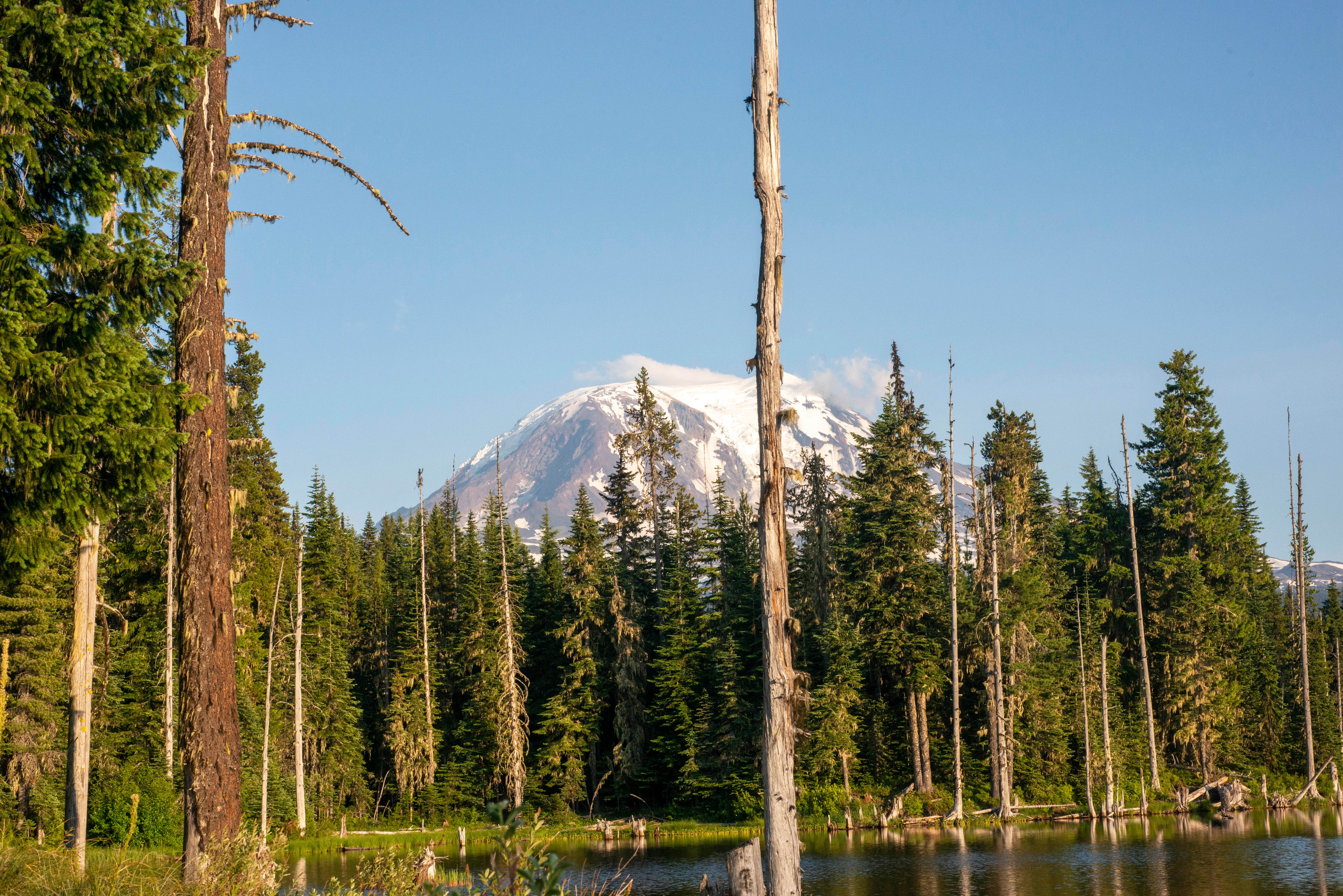 Camper submitted image from Horseshoe Lake - 1