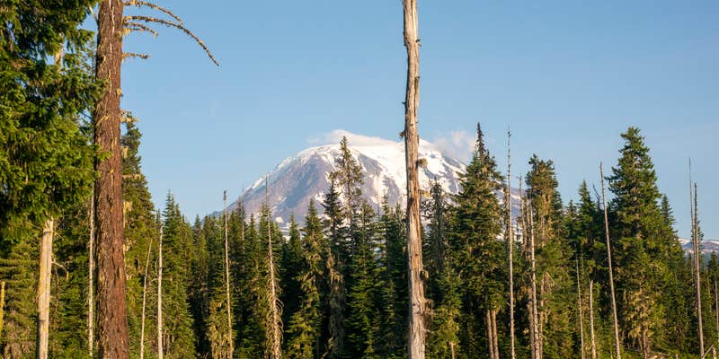 Camper submitted image from Horseshoe Lake