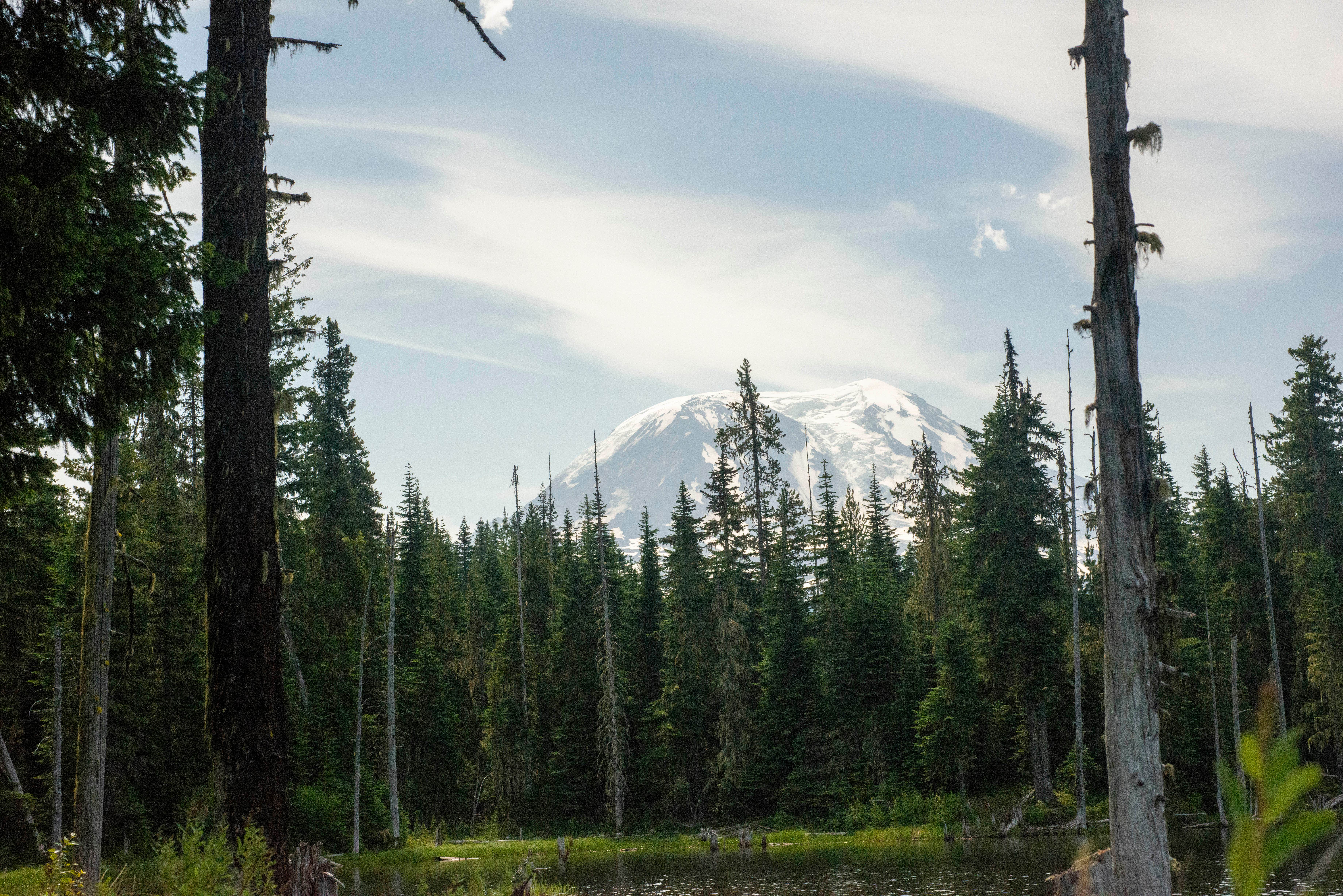 Camper-submitted photo at Horseshoe Lake near Gifford Pinchot National Forest