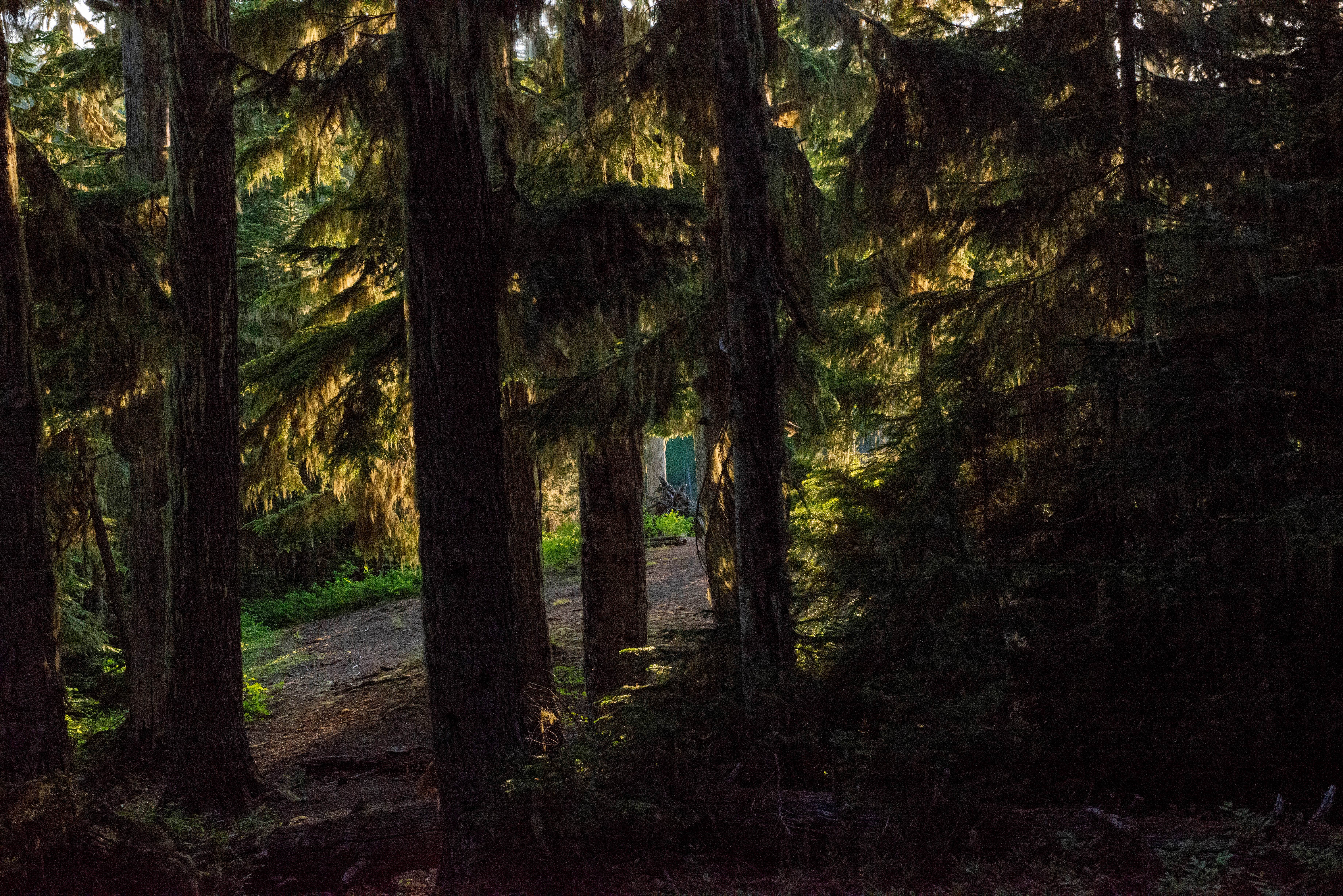 Camper-submitted photo at Horseshoe Lake near White Swan, WA