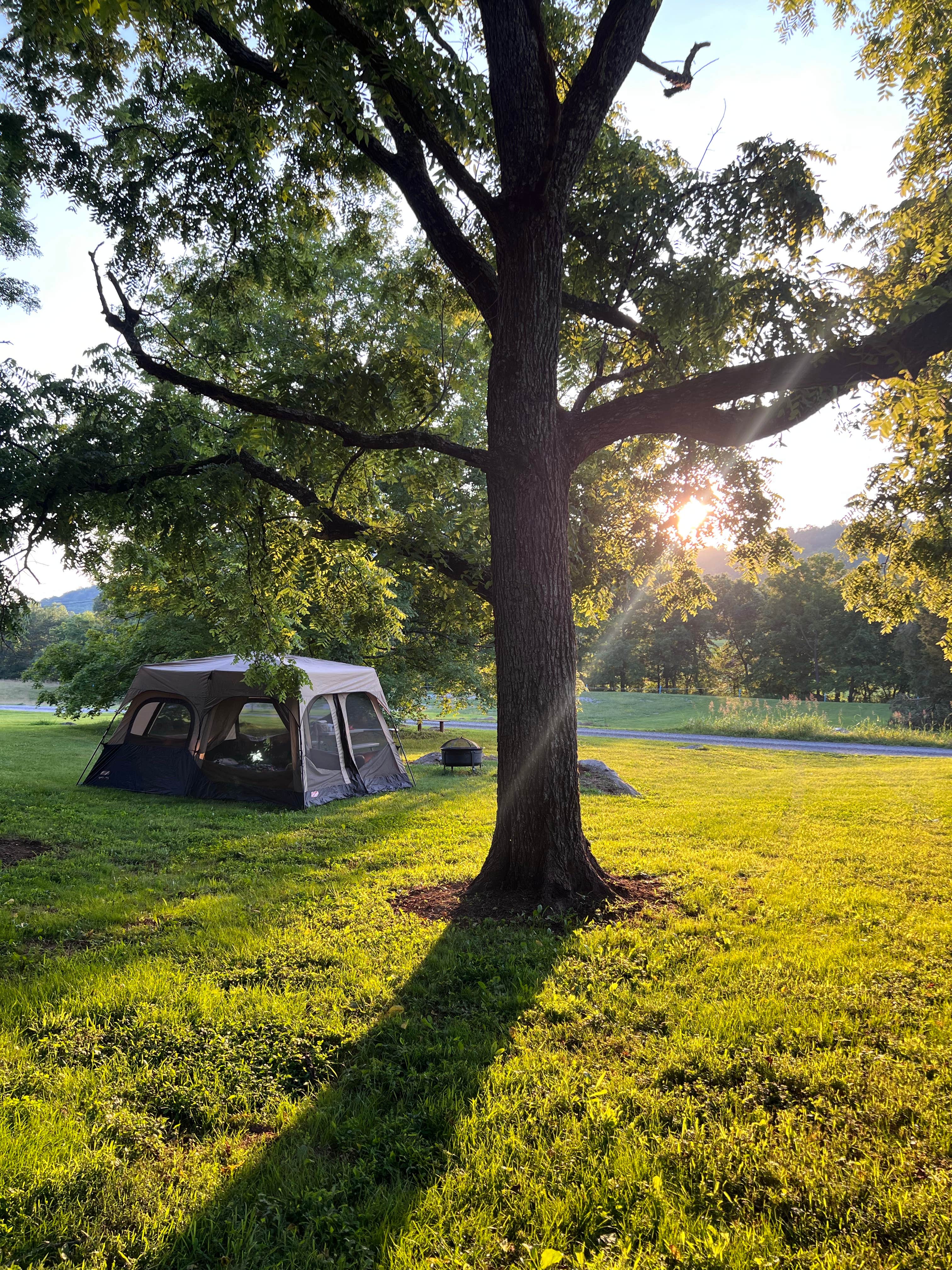 Laura C.'s photo at Rocky Meadows Farm near Maynardville, TN