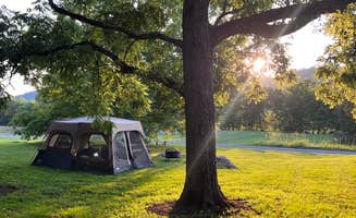 Laura C.'s photo at Rocky Meadows Farm near Jefferson City, TN