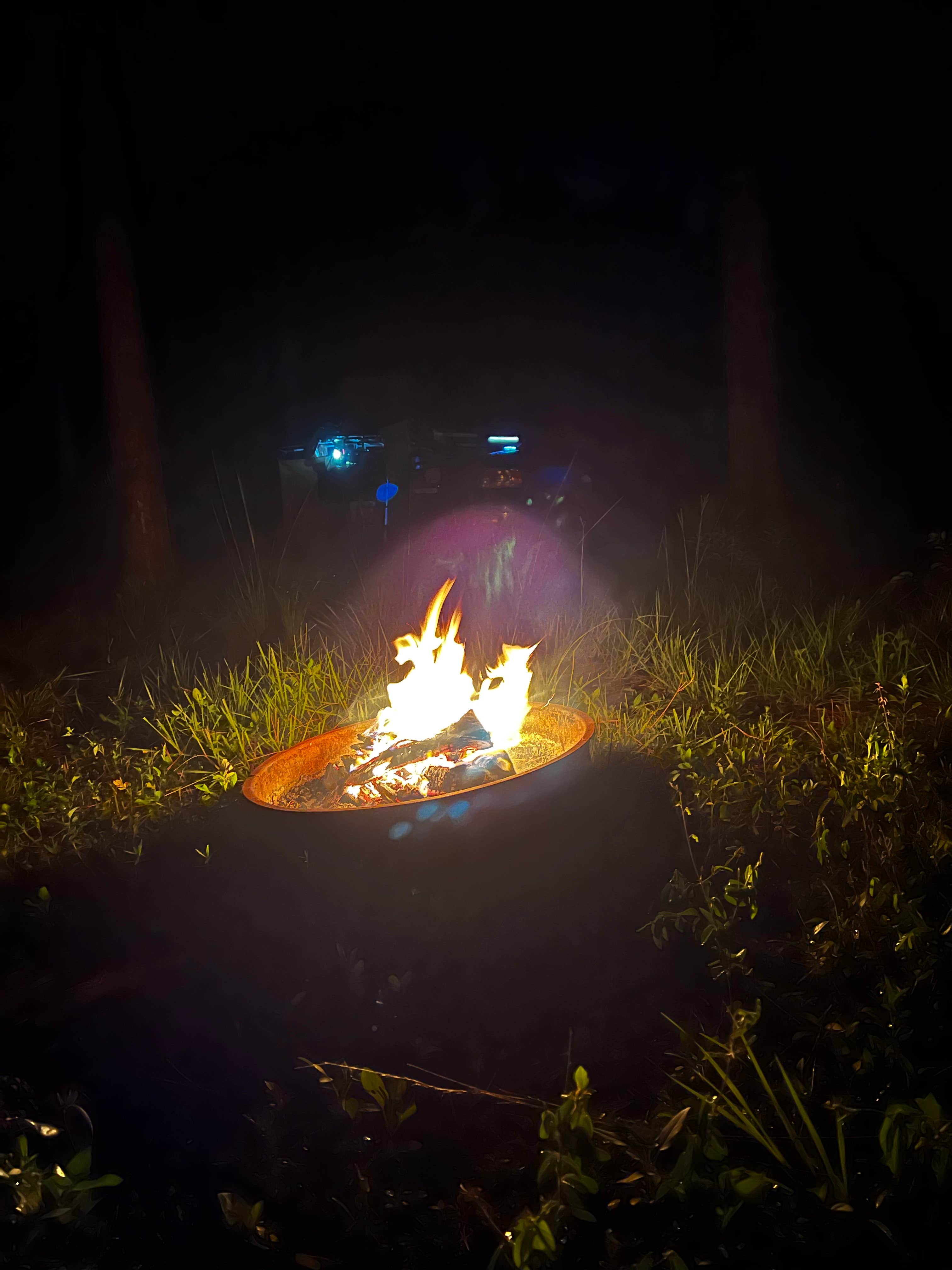 Camping near Lake Delancy East NF Campground: Lake Delancy West Campground, Salt Springs, Florida