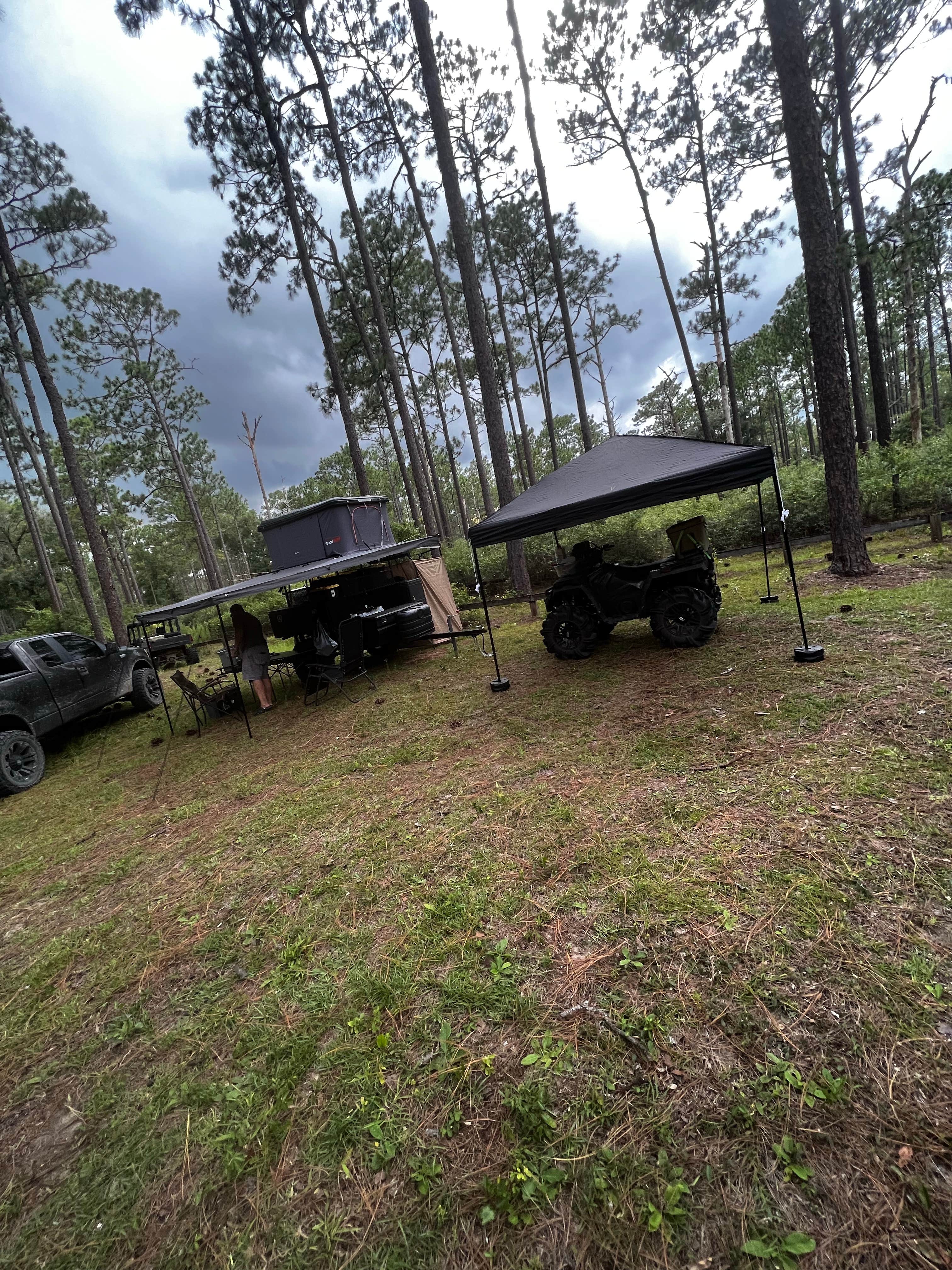 Camper-submitted photo at Lake Delancy West Campground near Georgetown, FL