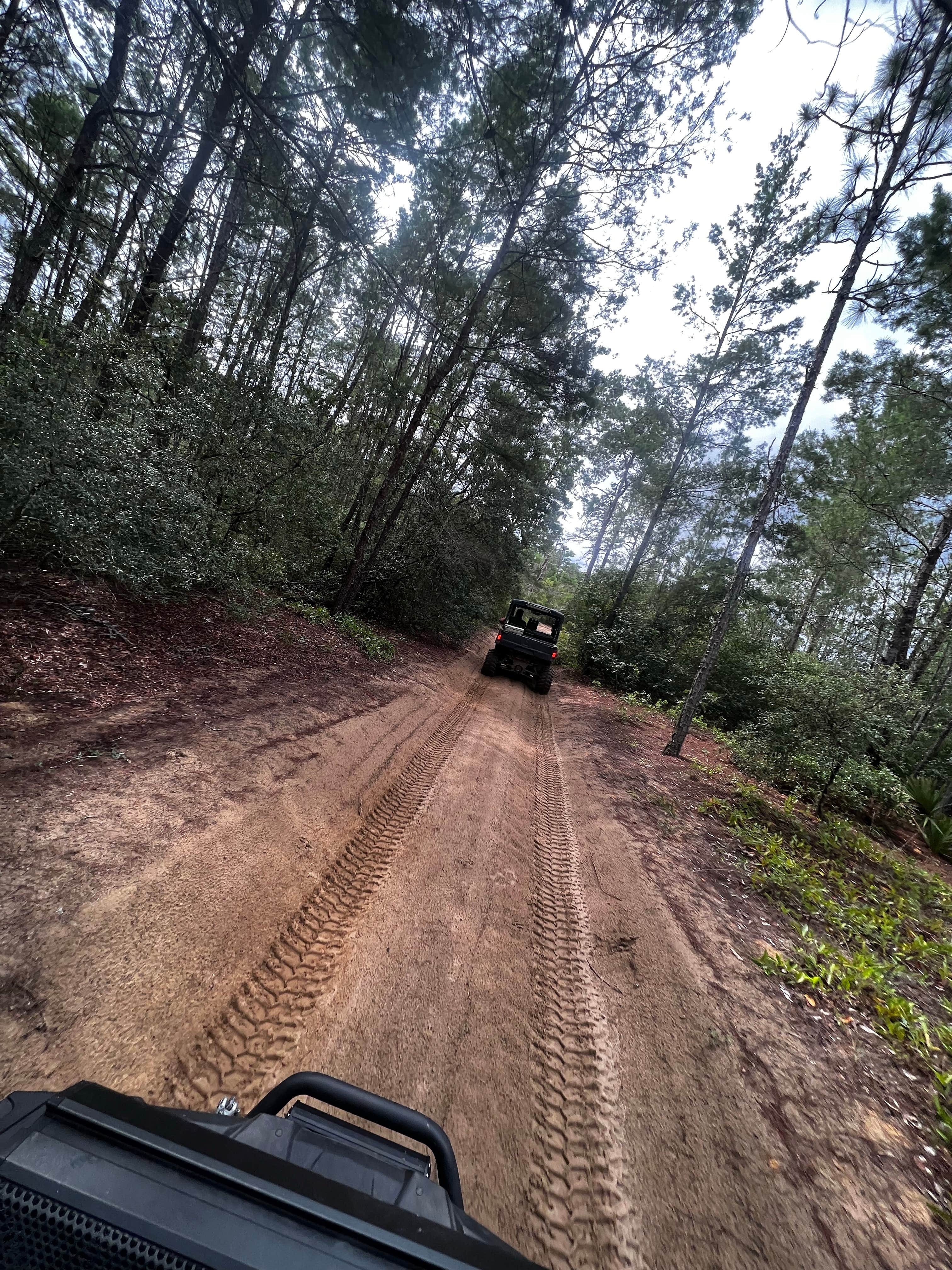 Camper-submitted photo at Lake Delancy West Campground near Georgetown, FL