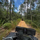 Review photo of Lake Delancy West Campground by Dustin , July 9, 2023