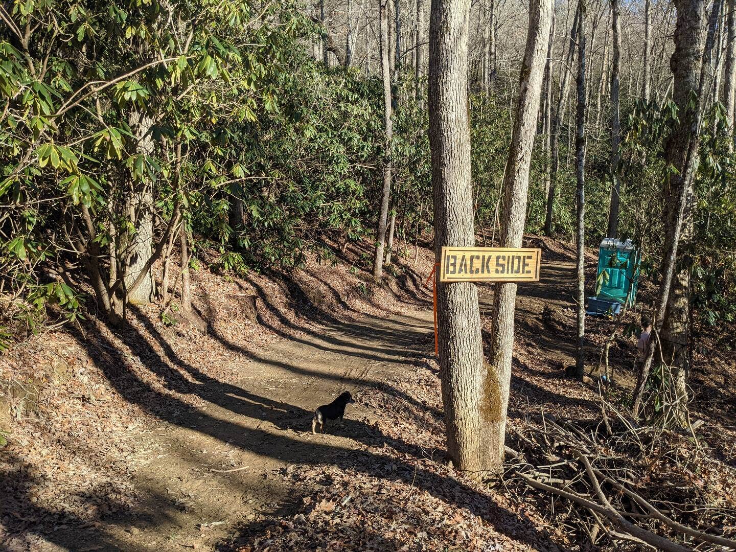Jack H.'s photo of camping with pets at Junaluska Journey near Marble, NC