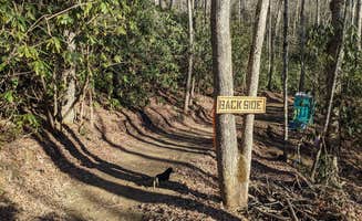 Jack H.'s photo of camping with pets at Junaluska Journey near Topton, NC