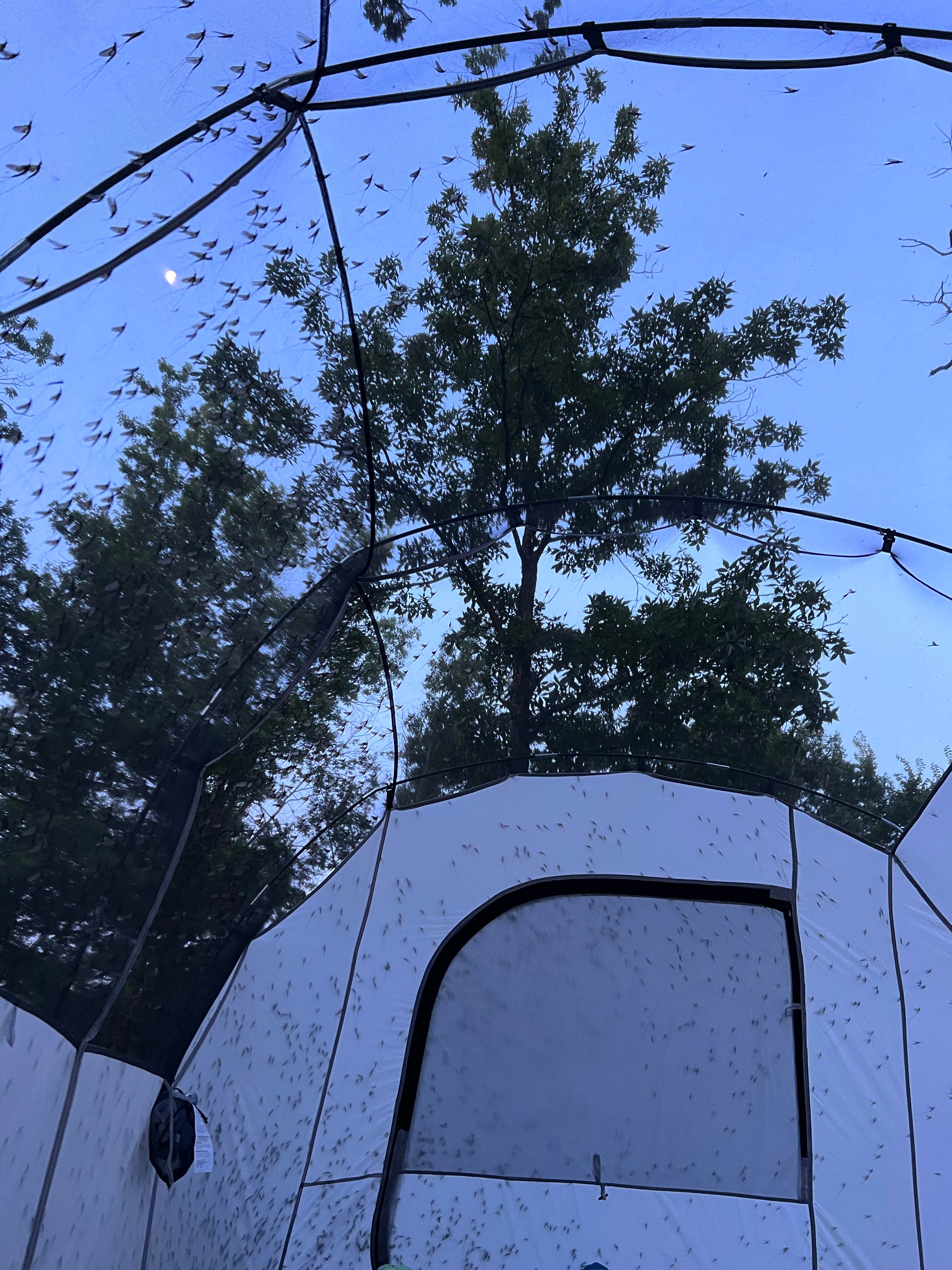 Mashael A.'s photo at Thomson Causeway near Thomson, IL