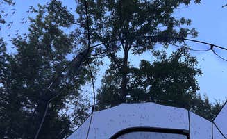 Mashael A.'s photo at Thomson Causeway near Thomson, IL