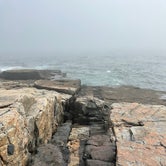 Review photo of Schoodic Woods Campground — Acadia National Park by Joe B., July 9, 2023