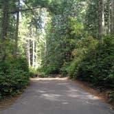 Review photo of Scenic Beach State Park Campground by Katie S., August 22, 2016