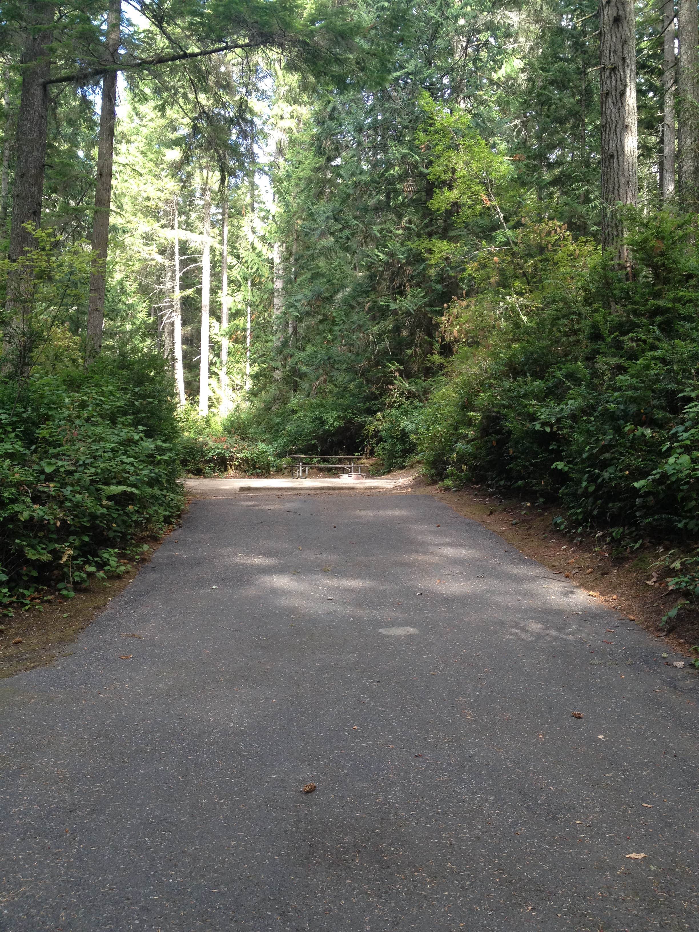 Camper submitted image from Scenic Beach State Park Campground - 5