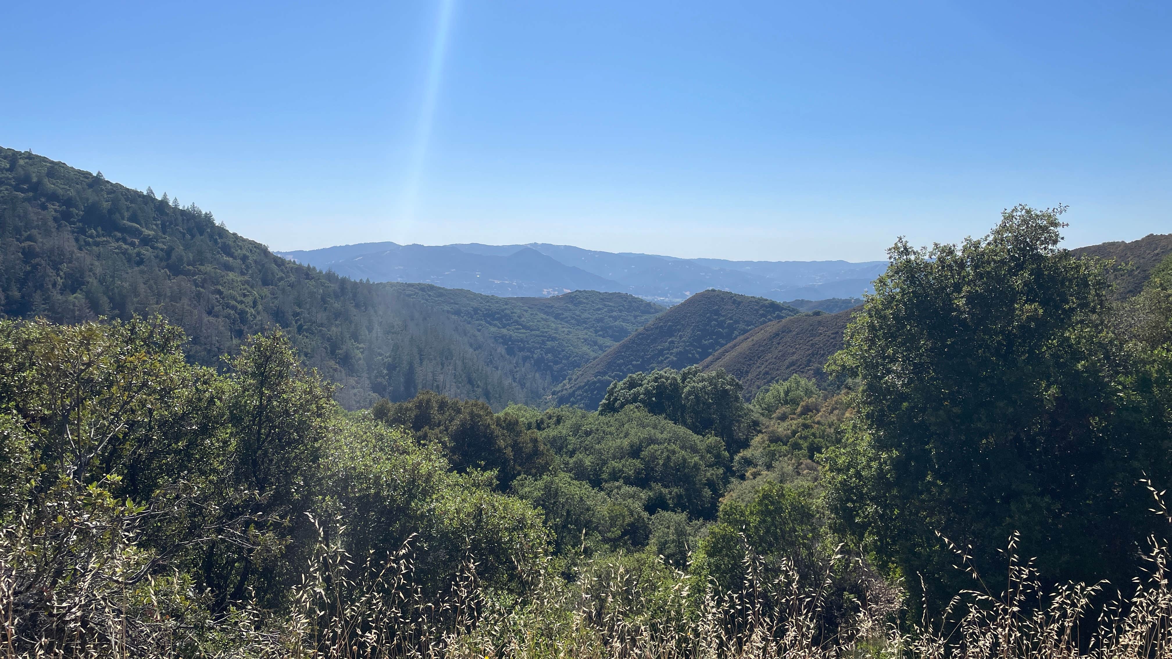 Camper-submitted photo at BLM Sheldon Creek near Sebastopol, CA